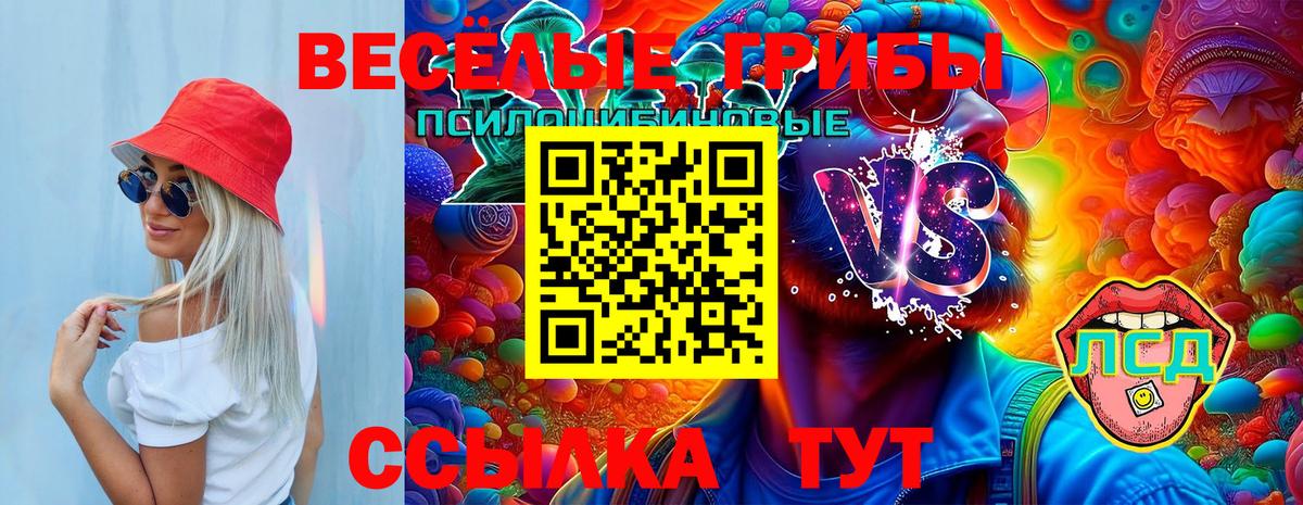 Лысьва  Галлюциногенные грибы Psilocybine cubensis  Псилоцибиновые грибы GOLDEN TEACHER  Вход с VPN 